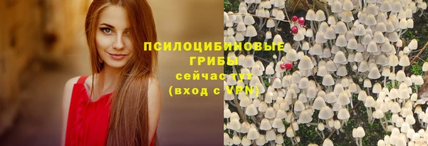 спиды Иннополис