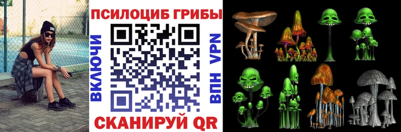 Псилоцибиновые грибы прущие грибы  Купить где  Кукмор 